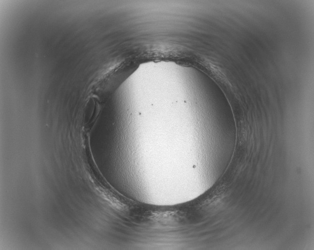 X0000061110450200512022130