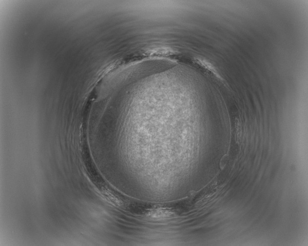 X0000061110451200512022130