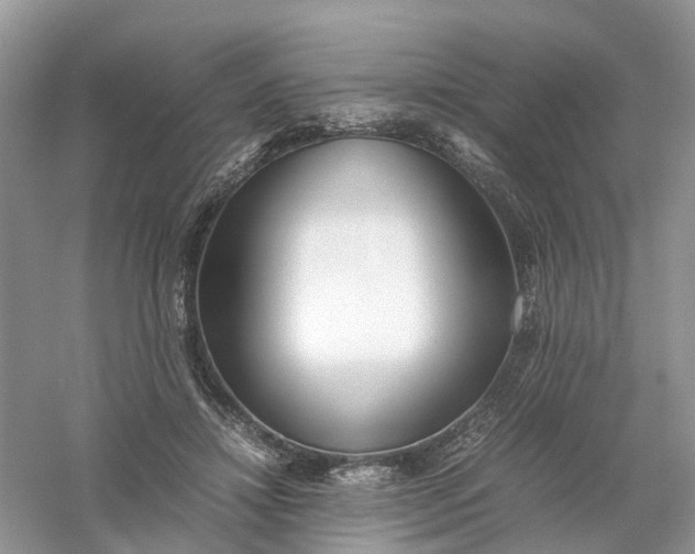 X0000061110452200512022130