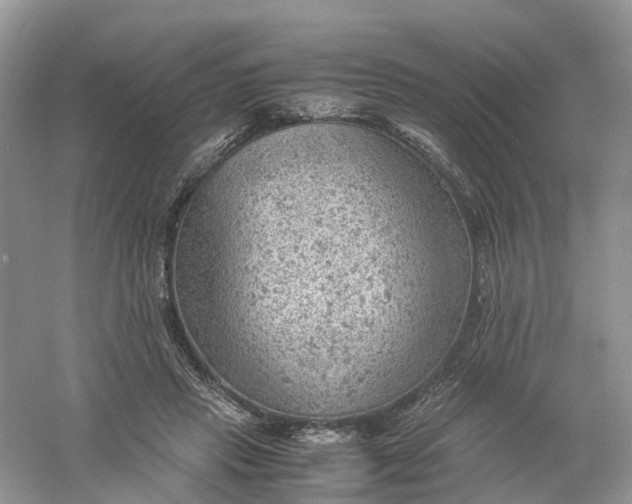 X0000061110453200512022130