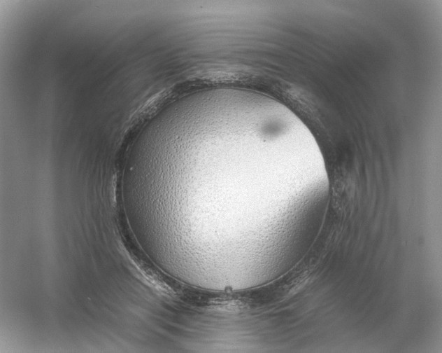 X0000061110454200512022130