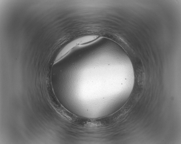 X0000061110455200512022130