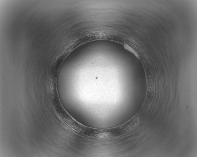 X0000061110456200512022130