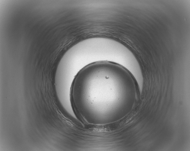 X0000061110458200512022130