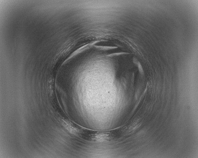 X0000061110462200512022130