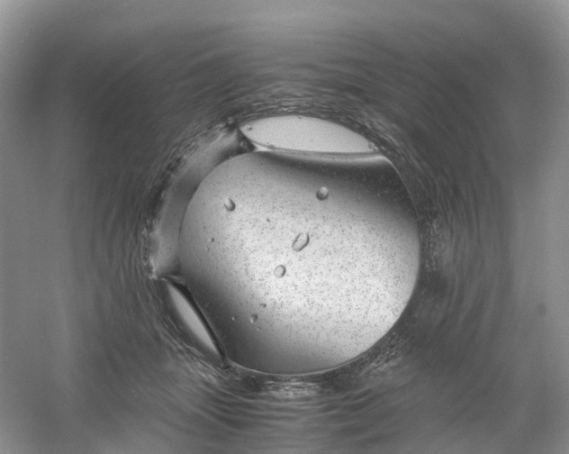 X0000061110463200512022130