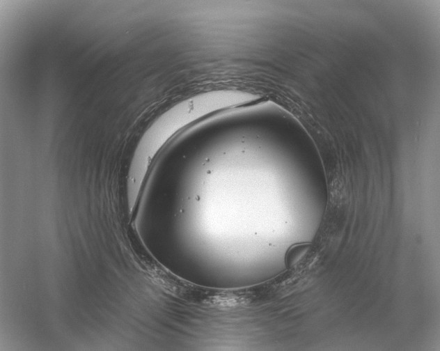 X0000061110464200512022130