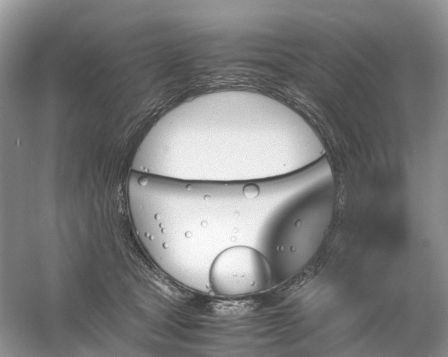 X0000061110465200512022130