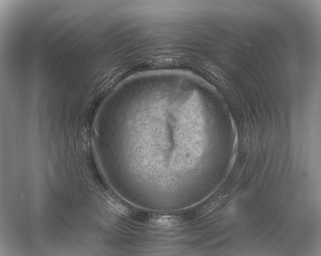 X0000061110467200512022130