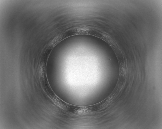 X0000061110468200512022130