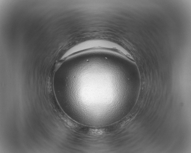 X0000061110469200512022130