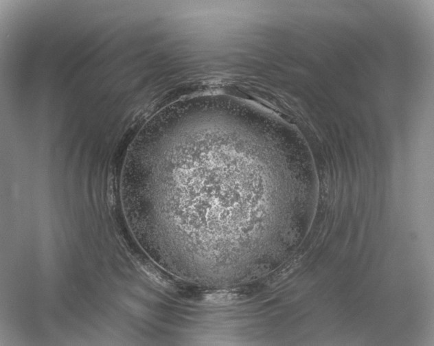 X0000061110470200512022130