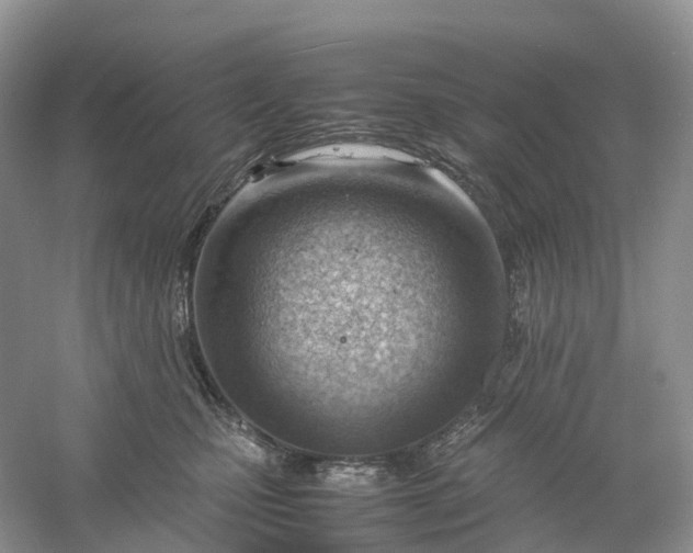 X0000061110471200512022130