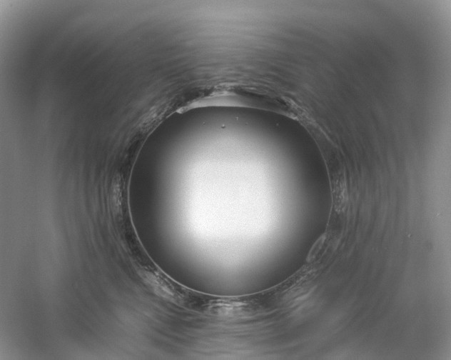 X0000061110472200512022130