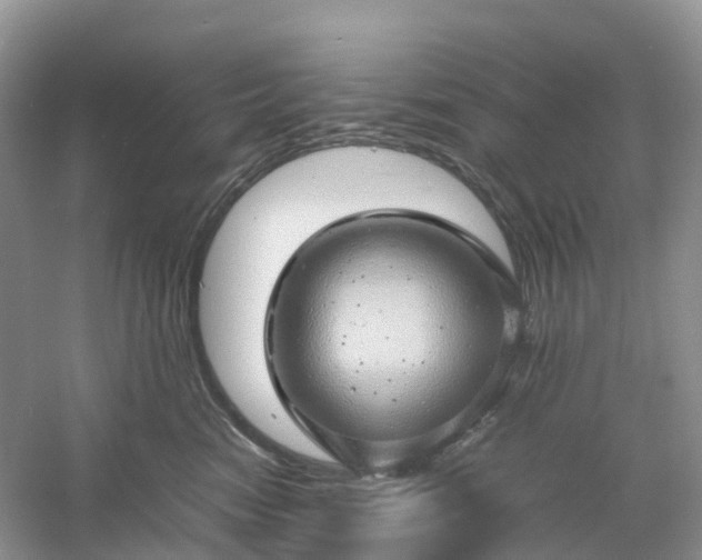 X0000061110474200512022130