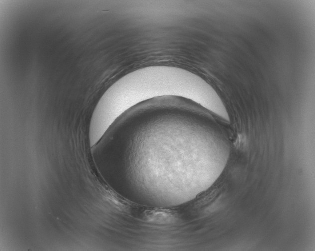 X0000061110475200512022130