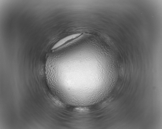 X0000061110477200512022130