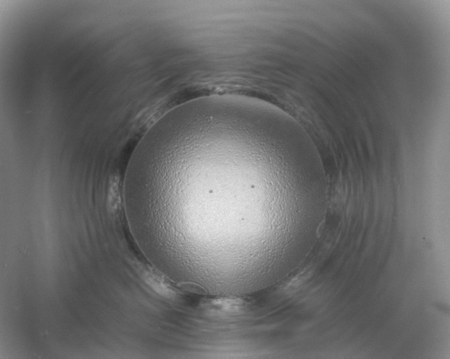 X0000061110478200512022130