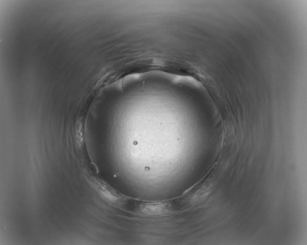 X0000061110479200512022130