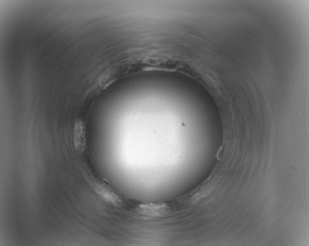 X0000061110480200512022130