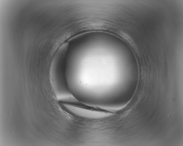 X0000061110481200512022130