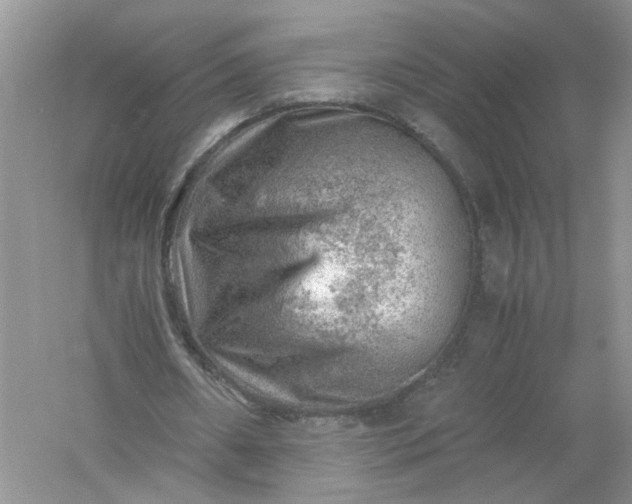 X0000061110482200512022129