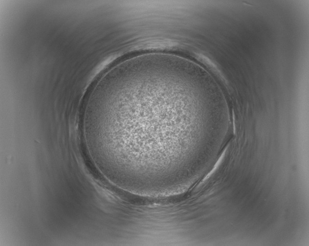 X0000061110483200512022129