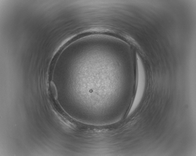 X0000061110484200512022129