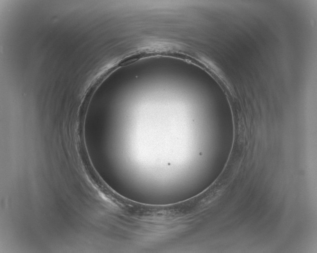 X0000061110485200512022129