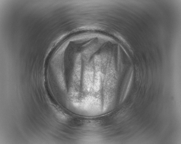 X0000061110486200512022129