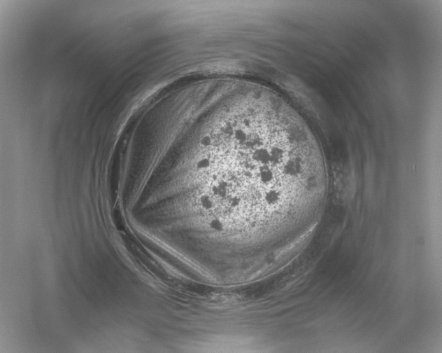 X0000061110487200512022129