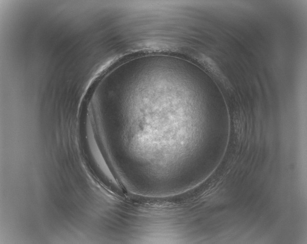 X0000061110488200512022129