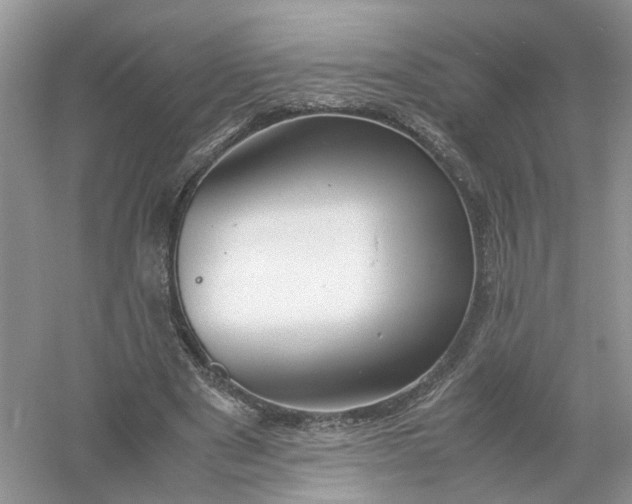 X0000061110489200512022129