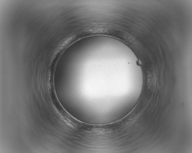 X0000061110490200512022129