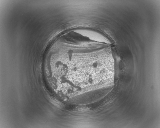 X0000061110491200512022129