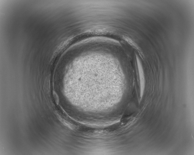 X0000061110493200512022129