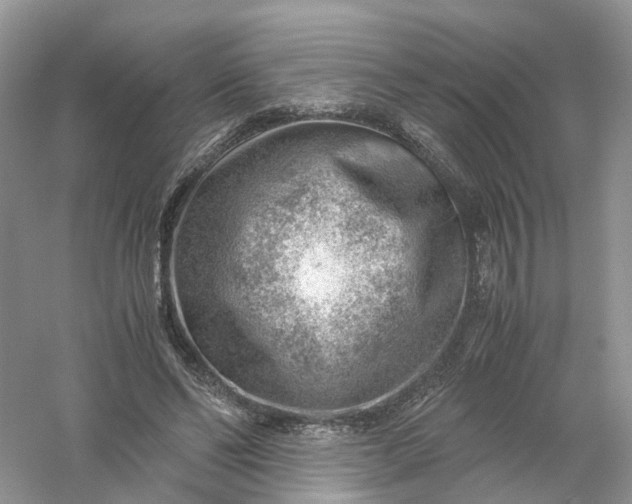 X0000061110494200512022129