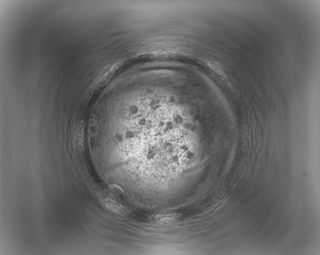 X0000061110495200512022129