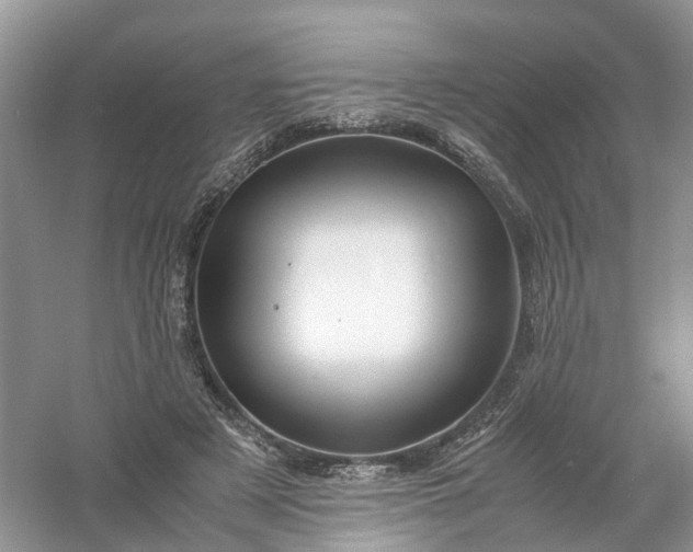 X0000061110497200512022129