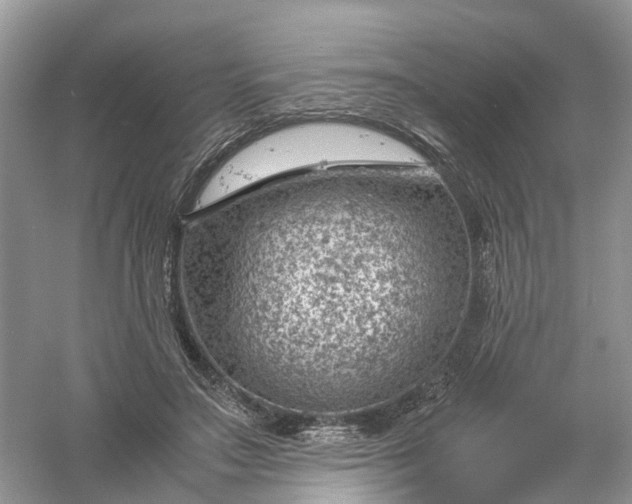 X0000061110499200512022129