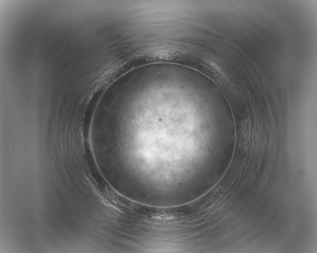 X0000061110500200512022129