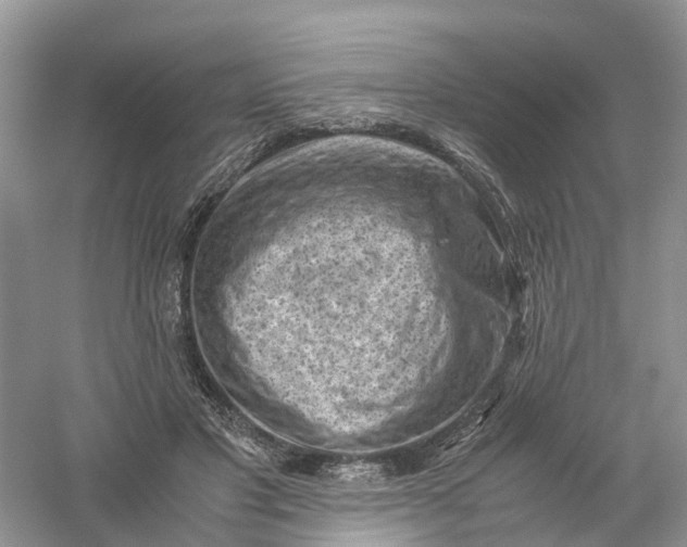 X0000061110501200512022129