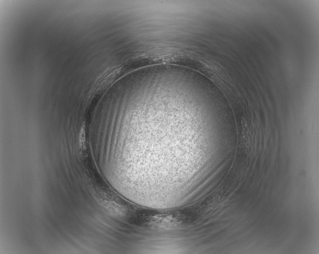 X0000061110502200512022129