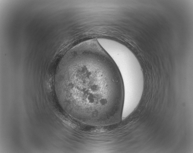 X0000061110503200512022129