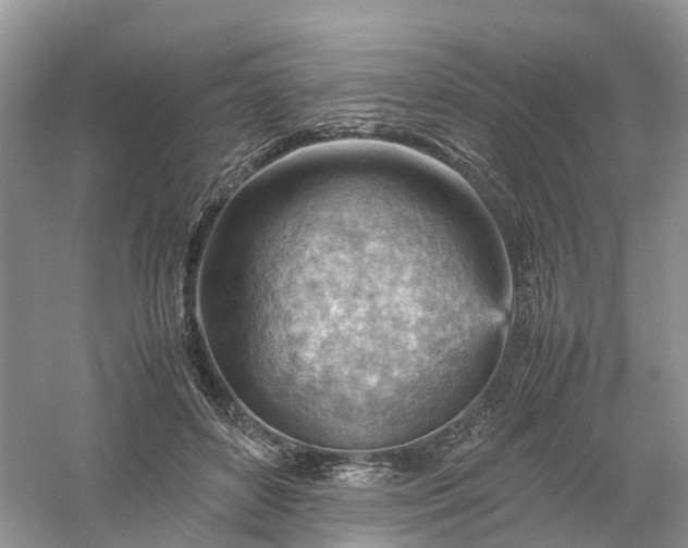 X0000061110504200512022129