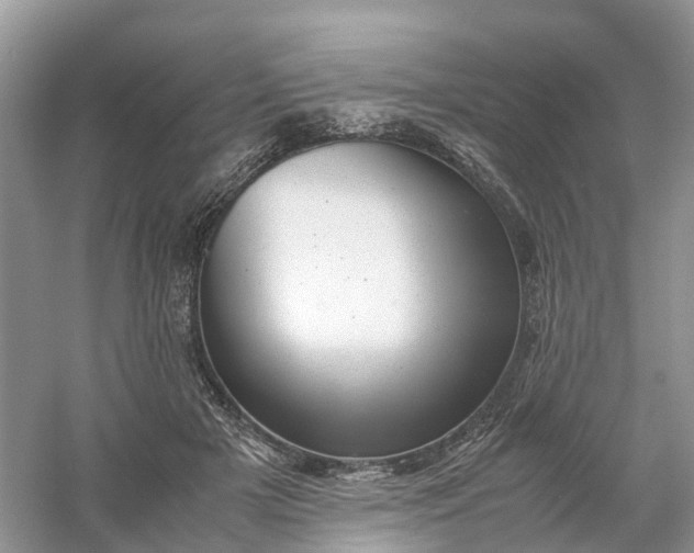 X0000061110505200512022129