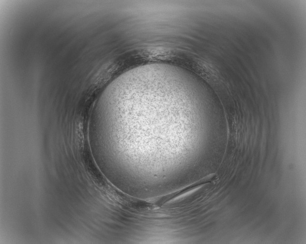 X0000061110506200512022129