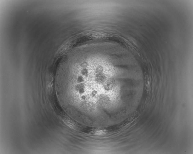 X0000061110507200512022129