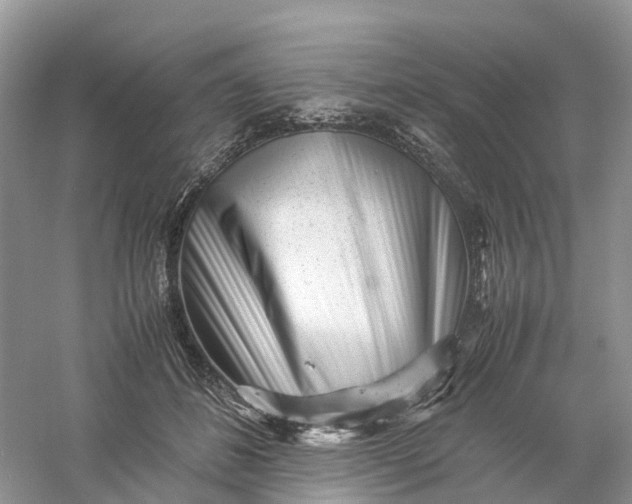 X0000061110508200512022129