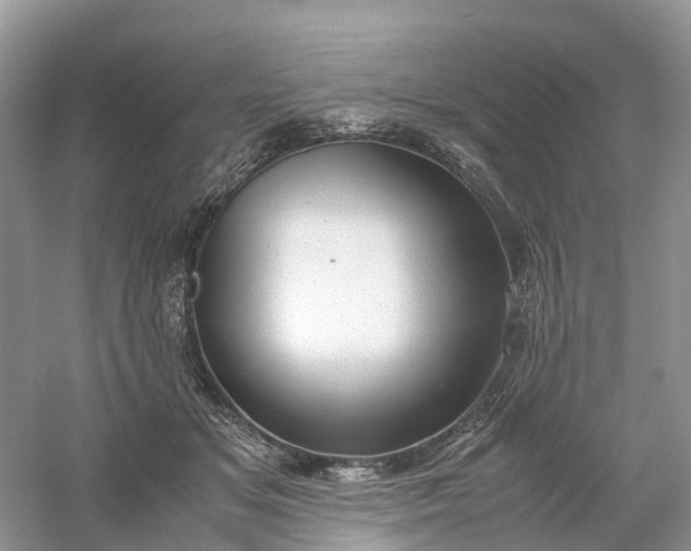 X0000061110509200512022129